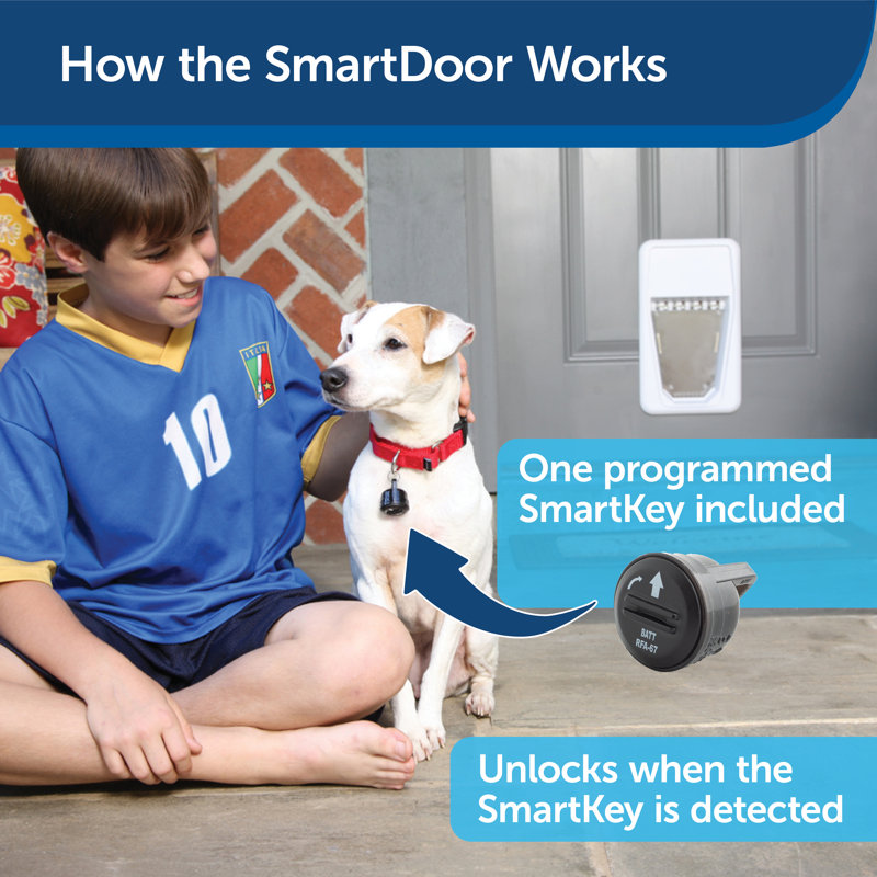 PetSafe® Electronic SmartDoor & Reviews Wayfair